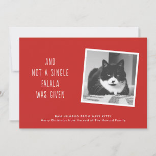 Fêtes Annuelles Cartes de Noël drôles d'animal familier pour des
