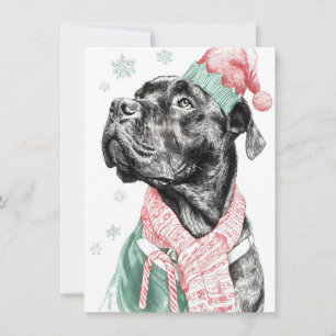 Fêtes Annuelles Cartes de Noël uniques pour chien