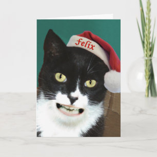 Fêtes Annuelles Cartes de voeux de Noël pour les chats amusants