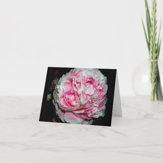 Fêtes Annuelles D'énormes Cartes pour notes de fleurs (Devant)