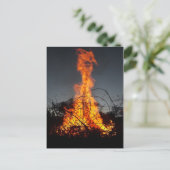 Feu de bonification sur cartes postales (Debout devant)