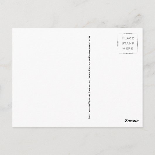 Feu de bonification sur cartes postales (Dos)