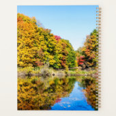 Feuillage d'automne 2024 (Dos)