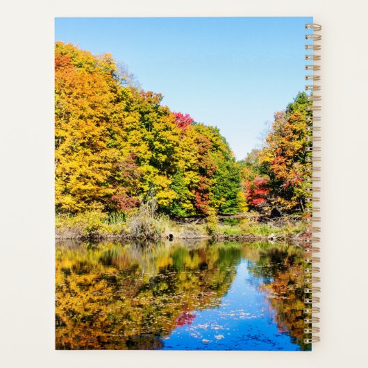 Feuillage d'automne 2024 (Dos)