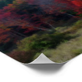 Feuillage d'automne dans Field Nature Poster (Coin)