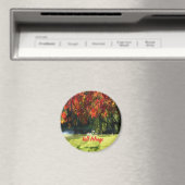 Feuillage d'automne de Boston Magnet (In Situ (Lave-vaisselle))
