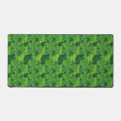 Feuillage Tropical | Feuilles de Palmier et Monste (Recto)