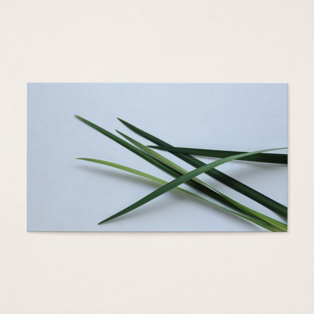 feuillage vert (Devant)