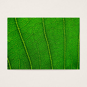 Feuille