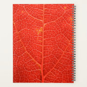 Feuille automnale (Dos)