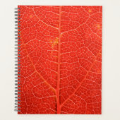 Feuille automnale (Devant)