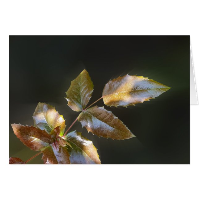 feuille brillant (Devant horizontal)