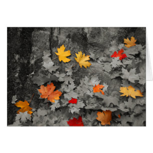 Feuille coloré dans la carte noire et blanche