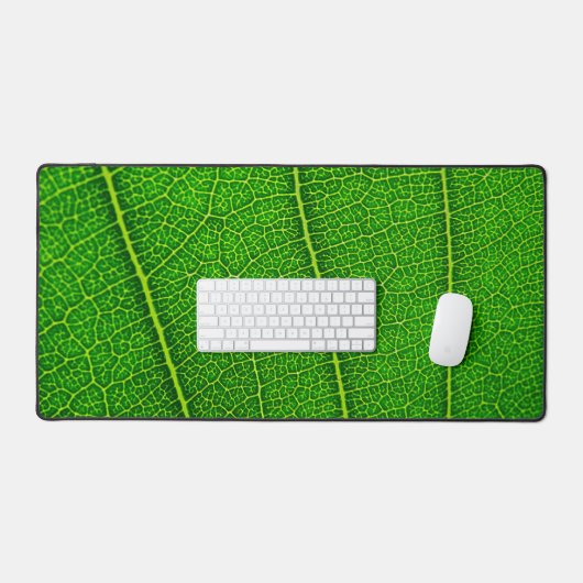 Feuille d'arbre vert (Clavier et souris)
