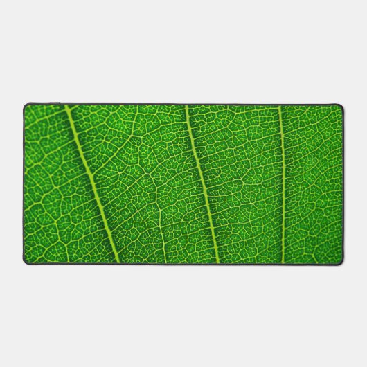 Feuille d'arbre vert (Recto)