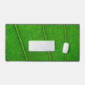 Feuille d'arbre verte (Clavier et souris)