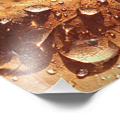 Feuille d'automne humide - Photo (Coin)