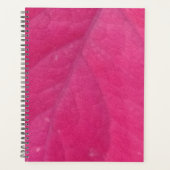 Feuille d'automne pourpre (Devant)