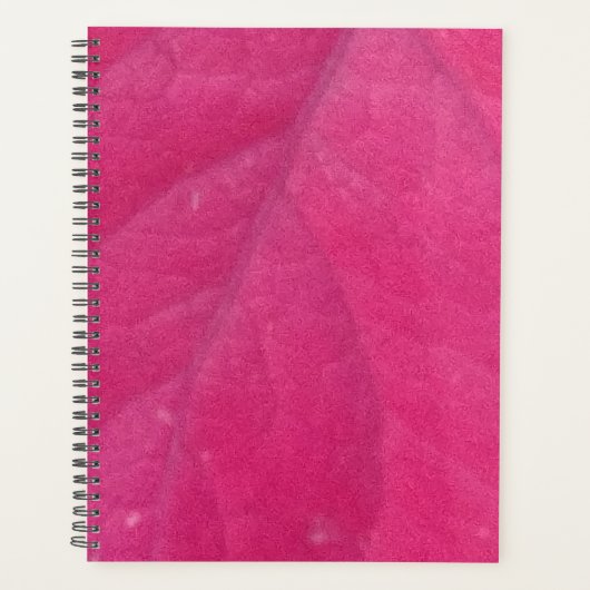 Feuille d'automne pourpre (Devant)