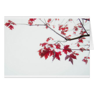 feuille d'automne rouge sur une branche