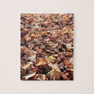 Feuille d'automne tombé - puzzle difficile