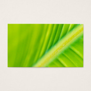 feuille de bananier vert