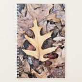 Feuille de chêne Sm Planner (Devant)