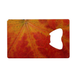 Feuille de Érable Rouge Photographie de Nature Abs