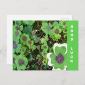 Feuille de fermeture à quatre feuilles et carte po (Devant / Derrière)