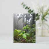 Feuille de forêt tropicale avec la carte postale (Debout devant)