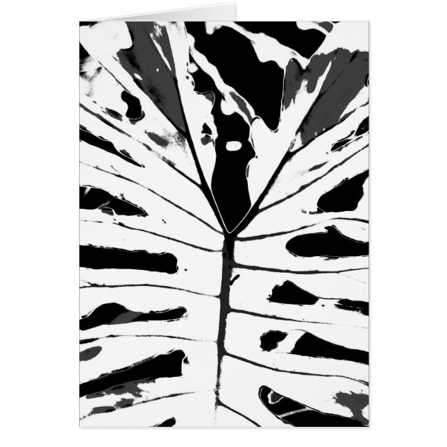 Feuille de Monstereo (Devant)