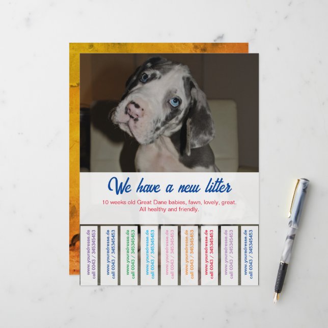 Feuille de papier (Devant/Arrière en situation)