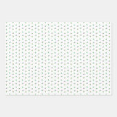 FEUILLE DE PAPIER CADEAU リリー&菊+野ばら+野ばら&チェック (Devant 2)