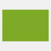 Feuille De Papier Cadeau 100e anniversaire Vert/Blanc Numéro Motif 100 (Devant 3)