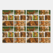 Feuille De Papier Cadeau 25 Photo Collage Modèle personnalisé (Devant 3)