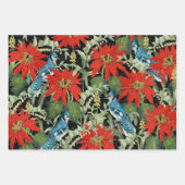 Feuille De Papier Cadeau 3 Cardinal Jay Winter Bird Collections Ephemera Sh (Devant 2)