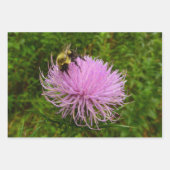 Feuille De Papier Cadeau Abeille sur Chardon (Devant)
