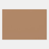 Feuille De Papier Cadeau Abstrait Terrain en terre cuite moderne Boho (Devant 3)