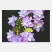 Feuille De Papier Cadeau Acheter de nombreuses fleurs violettes pétalées (Devant)