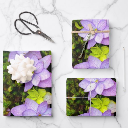 Feuille De Papier Cadeau Acheter de nombreuses fleurs violettes pétalées (Recto)