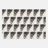 Feuille De Papier Cadeau Adventure Awaits. Fantasy landscape (Devant)