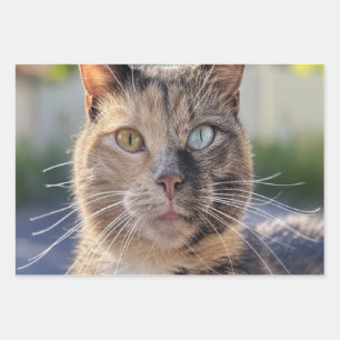 Feuille De Papier Cadeau Ajouter une Personnaliser photo de chat
