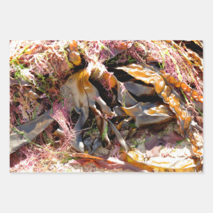 FEUILLE DE PAPIER CADEAU ALGUES