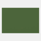 Feuille De Papier Cadeau   Algues (couleur solide)  (Devant)