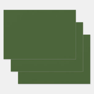 Feuille De Papier Cadeau   Algues (couleur solide) 