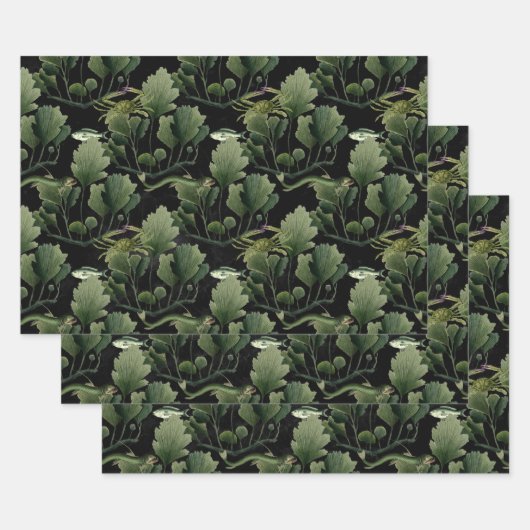 Feuille De Papier Cadeau Algues et poissons sur le noir (Lot)