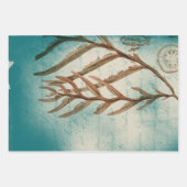 Feuille De Papier Cadeau Algues vintages Turquoises (Devant)