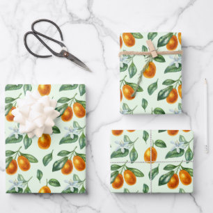 Feuille De Papier Cadeau Alimentation en agrumes d'orange esthétique