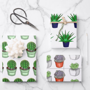 Feuille De Papier Cadeau Amateurs plantes Cactus dessinés à la main et succ