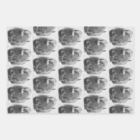 Feuille De Papier Cadeau American Buffalo (Devant)